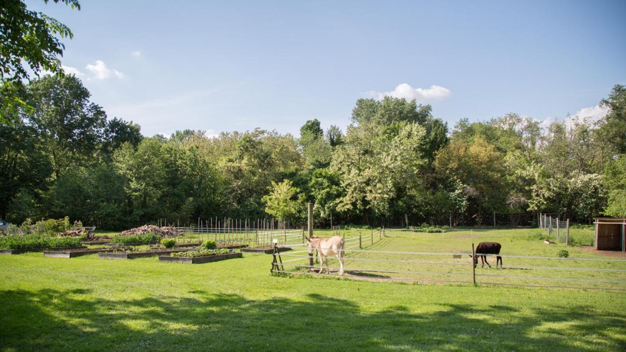 La Collina Delle Mignole Villa Moruzzo Kültér fotó